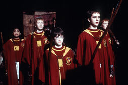 1quidditch