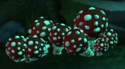 Bursting Mushrooms HM
