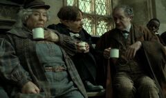 Flitwick Sprout Slughorn