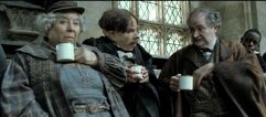 Flitwick Sprout Slughorn