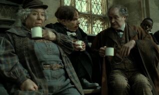 Flitwick Sprout Slughorn