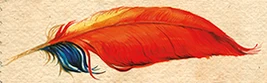 Phoenix feather