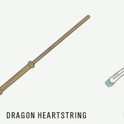 Wand Core Harry Potter Wiki Fandom