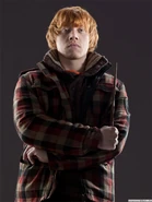 Ron Info.jpg (270 KB) Ronald Weasley