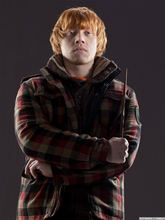 Ronald Weasley Harry Potter Lexikon Fandom