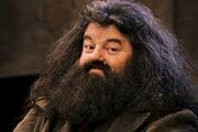 Hagrid4