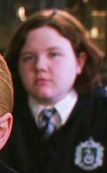 Hermione Granger, Harry Potter Wiki