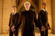 Slytherins (Draco, Blaise ...)