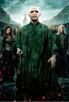 Voldemort & Death Eaters textless poster