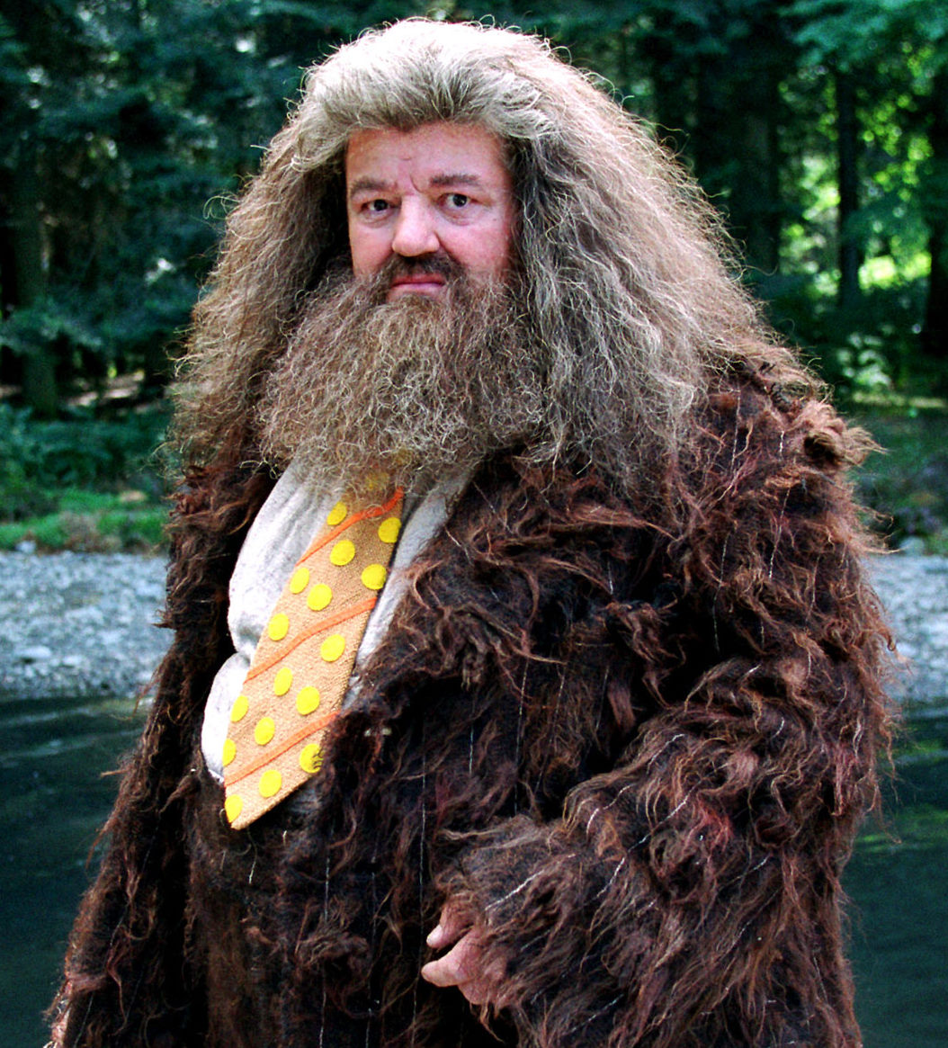 Rubeus Hagrid's dress robes, Harry Potter Wiki