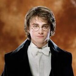 Ludovico Bagman, Harry Potter Wiki