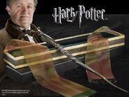 Horace Slughorn's wand