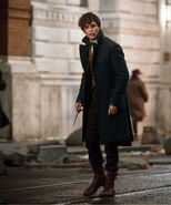 FBaWtFT Newt Scamander 14