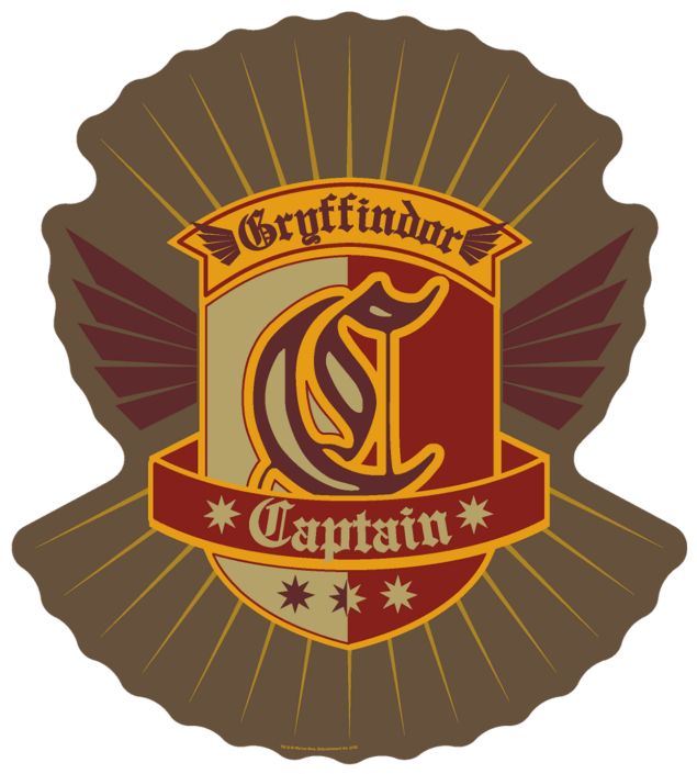 gryffindor quidditch logo