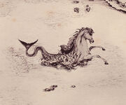 Hippocampus