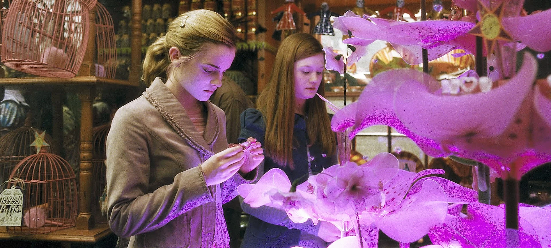 Amortentia Harry Potter Ingredients informacionpublica.svet.gob.gt