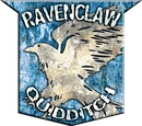 Ravenclaw™ Quidditch™ Badge