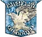 Ravenclaw™ Quidditch™ Badge