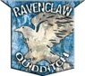 Ravenclaw™ Quidditch™ Badge
