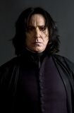 Severus Snape † (1981-1996)