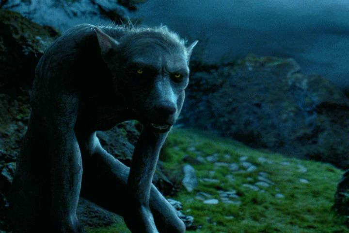 Defesa Contra as Artes das Trevas | Harry Potter Wiki | Fandom