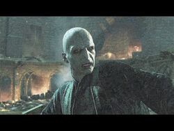 Harry Potter and the Deathly Hallows Part 2 video game Harry Potter Wiki Fandom