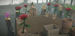 Red roses in Herbology HM