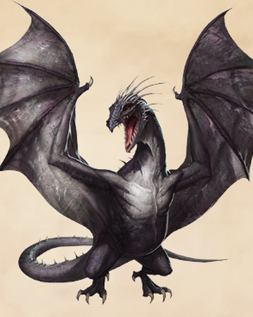 Ukrainian Ironbelly Harry Potter Wiki Fandom