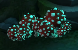 Champignons explosifs
