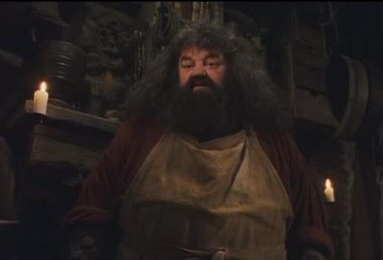 Hagrid harry potter cast