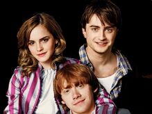 Harry-Ron-and-Hermione-Wallpaper-harry-ron-and-hermione-25679731-1024-768