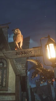 Зонко указатель