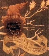 Cedrella Weasley.jpg (21 KB) Cedrella Weasley, geb. Black