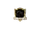 Hufflepuff-crest-transparent.png