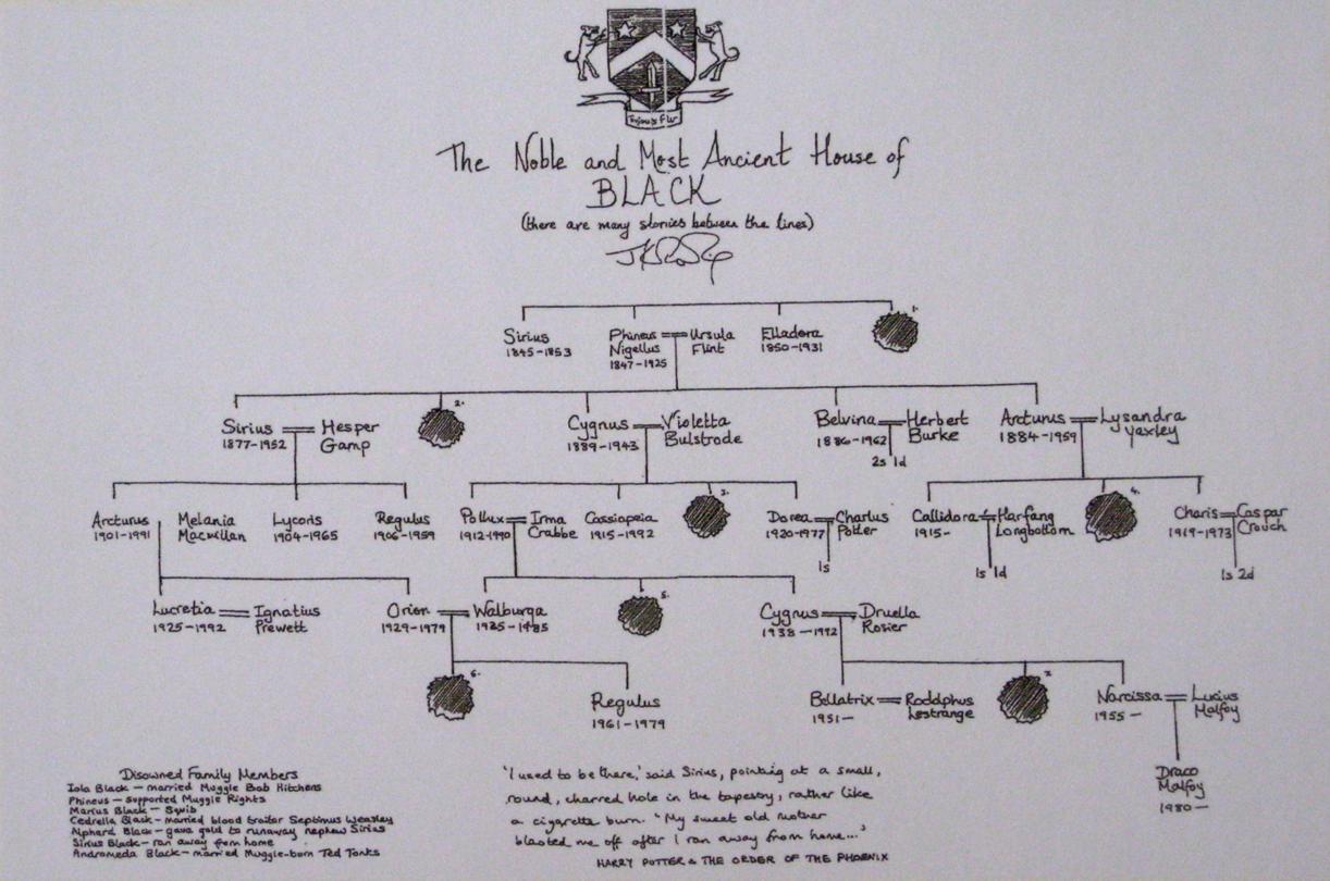 harry potter black family tree