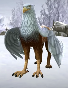 HM Greywing