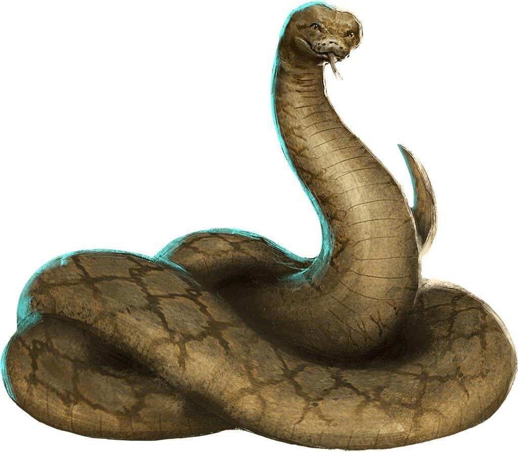 Serpente, Harry Potter Wiki