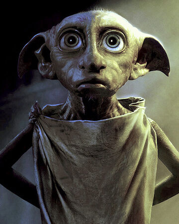Elfo Domestico Harry Potter Wiki Fandom