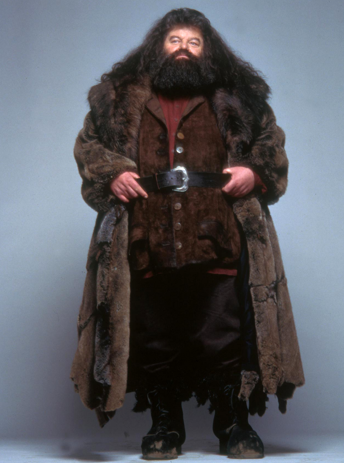 Rubeus Hagrid Costume - Harry Potter Fancy Dress