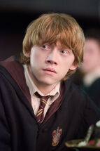 Ron-Order-of-the-Phoenix-ronald-weasley-4959523-285-428