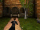 Diffindo(game).gif