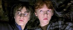 Harry-potter2-invisibility cloack