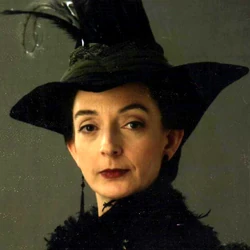 カテゴリ ホグワーツの職員 Harry Potter Wiki Fandom