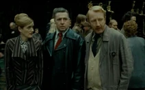 Harry, Ron i Hermiona w Ministerstwie Magii pod wpływem eliksiru wielosokowego