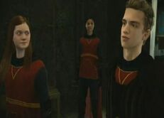 McLaggen Ginny Katie Quidditch HBP