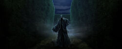 B4C31M1 DementorInTriwizardMaze Moment