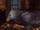 Buckbeak Pottermore.png