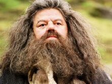 Il-guardiacaccia-di-hogwarts-rubeus-hagrid