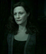 Lily apparue grâce à la .