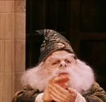 Prof Flitwick